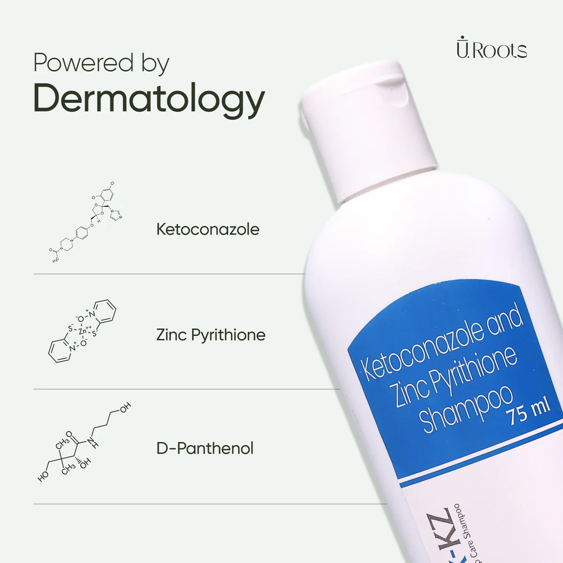 KZ Anti Dandruff Shampoo - Image 2