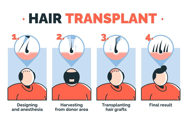 What is The Lifecycle of Hair?