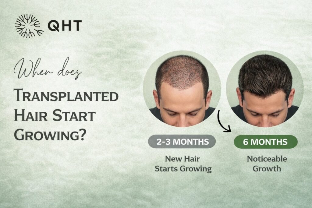 Hair transplant growth timeline