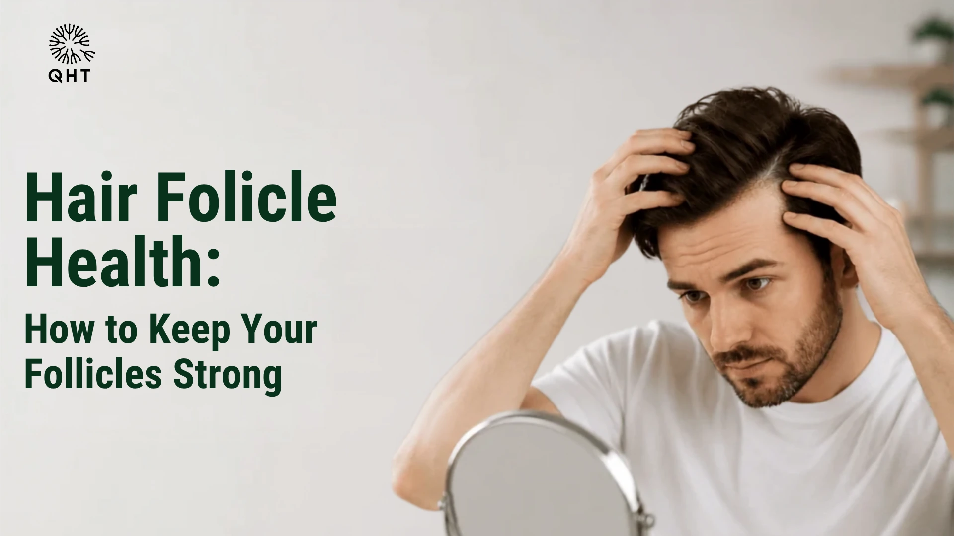 Hair Follicle Health